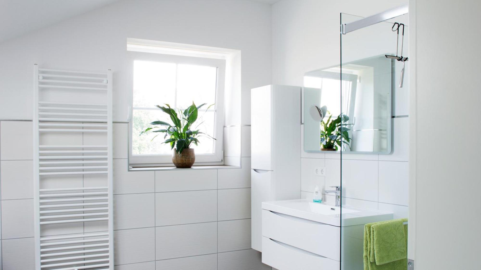 Ringelnatz & Lichtwer- Ferienwohnung Wurzen Rom bilde